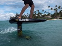 DAKINE CHASE WING BOARD 98