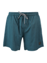 BRUNOTTI VOLLEYER MEN SHORTS (copia)