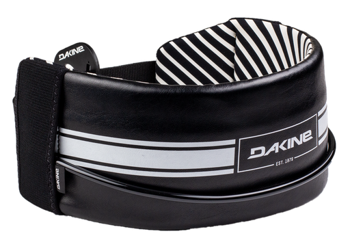 Dakine Solo wing harness